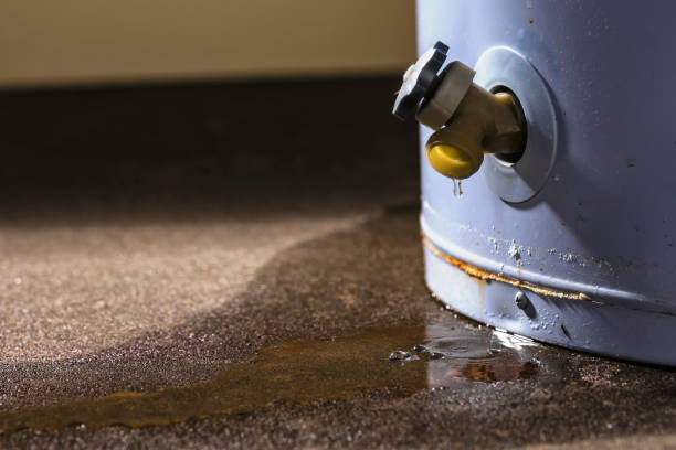 Best Commercial water damage restoration  in Byram Center, NJ