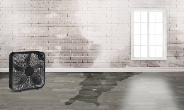 Best Fire Damage Restoration  in Byram Center, NJ