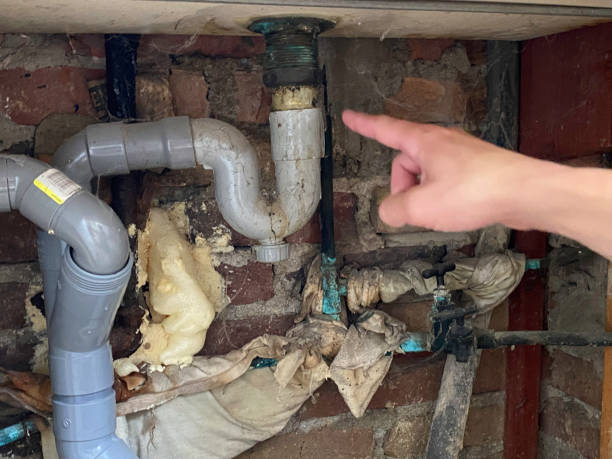 Best Professional water damage repair  in Byram Center, NJ